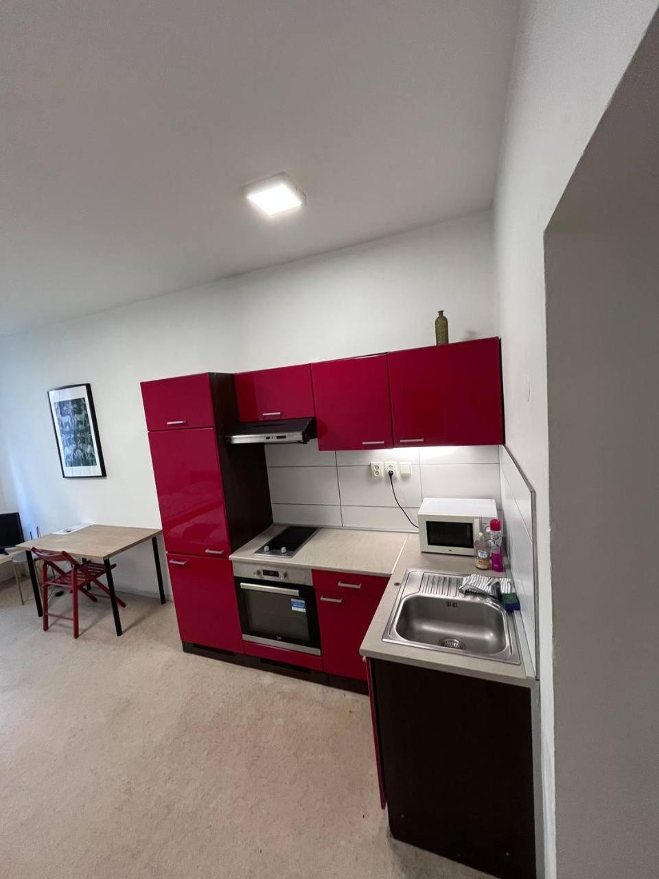 Apartmans With Parking Near Center Apartmán Brno
